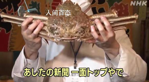 日本一只松叶蟹拍出32万高价 日本松叶蟹大概多少钱一只