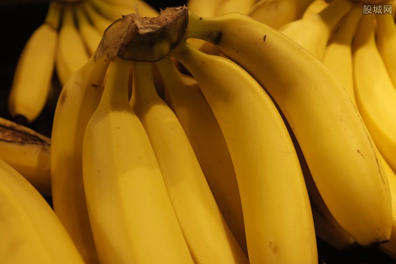 香蕉危害
