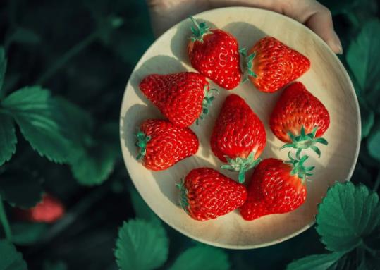 草莓先红尖还是先红后面？草莓尖尖是绿色的可以吃吗
