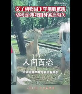 女子动物园里下车喂鹿被踢 园区内设有禁止私自带食物投喂的标志