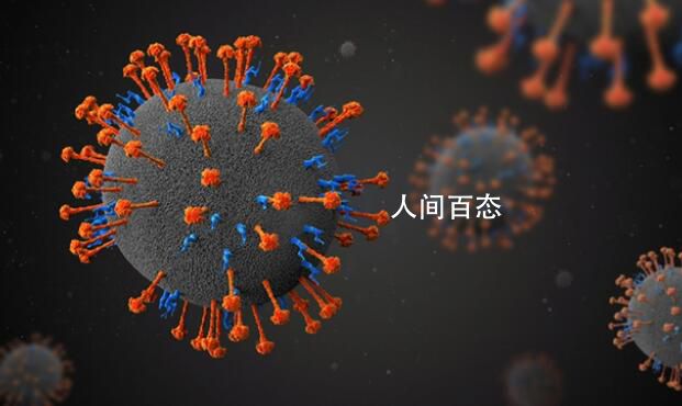 中国发现新人畜共患病毒“琅琊”