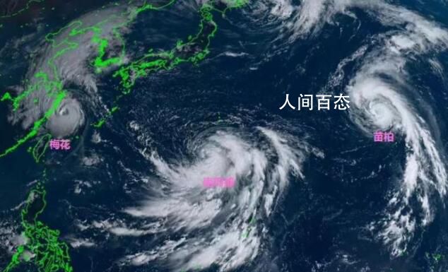 台风红色预警意味着什么?专家解析 台风梅花中心附近最大风力有15级