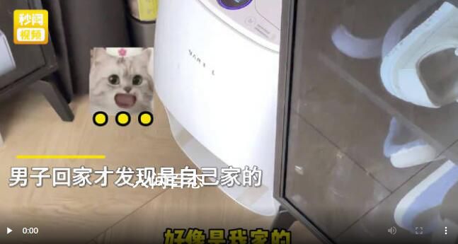 小猫开门让扫地机器人下27楼 网友表示不知道的人还以为是智能小区
