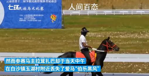 价值28万纯血马在丽江“走失” 警方已派出警力协助查找