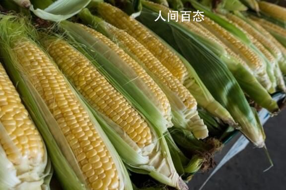 东方甄选回应下架玉米 这究竟是怎么回事