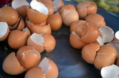 一个鸡蛋含有多少钙质（吃什么蔬菜最补钙）