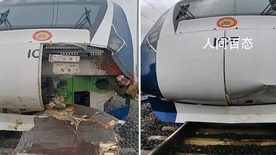 印度“半高铁”列车撞牛受损 没有人员伤亡