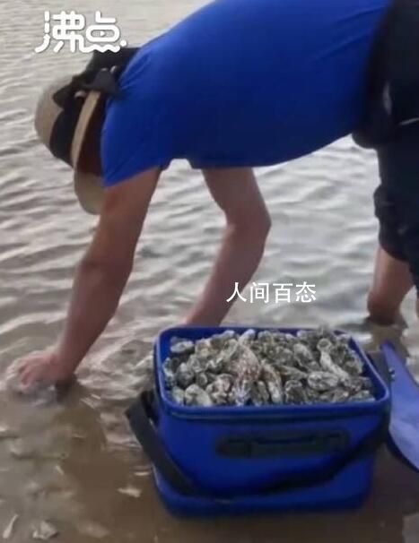 海蛎子加入“赶海套餐”:铺满海滩