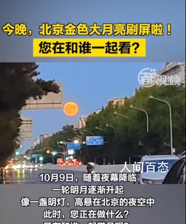 北京金色大月亮刷屏 像一盏明灯高悬在北京的夜空中