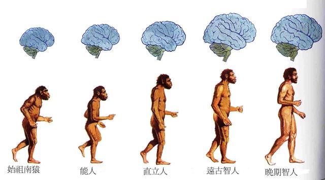 人类真的是由十二生肖进化而来？多种起源论<strong></p>
<p>生肖</strong>，你又支持哪一种？