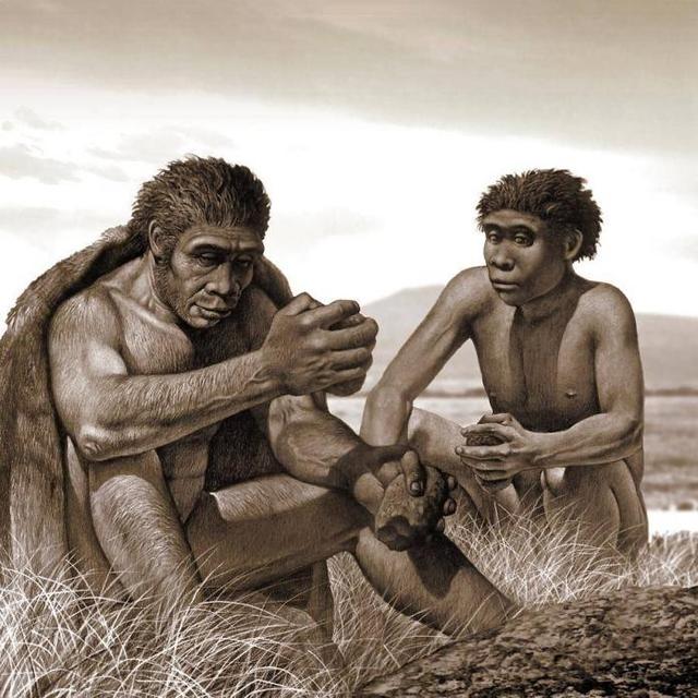 人类真的是由十二生肖进化而来？多种起源论<strong></p>
<p>生肖</strong>，你又支持哪一种？